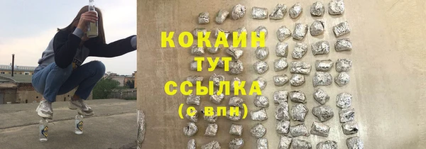 молекула духа Новозыбков