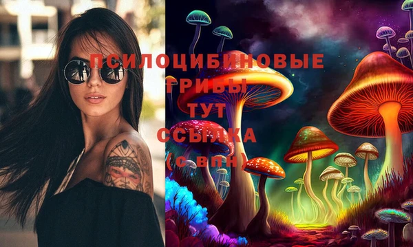 мефедрон мука Новодвинск