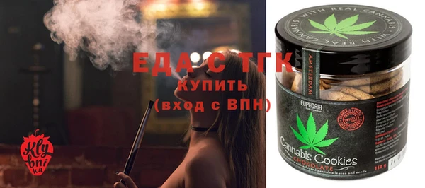 молекула духа Новозыбков