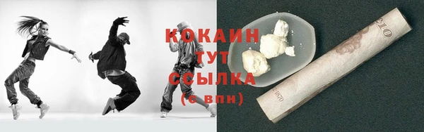 молекула духа Новозыбков