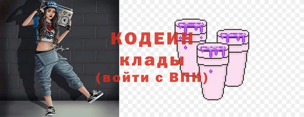 винт Няндома