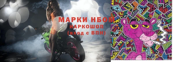 молекула духа Новозыбков