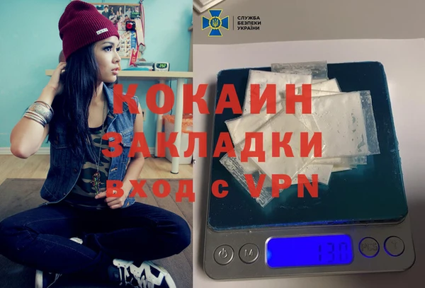 молекула духа Новозыбков