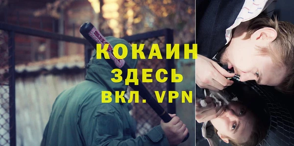 молекула духа Новозыбков