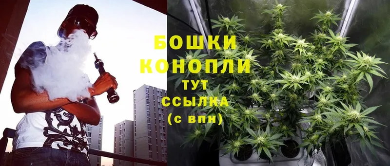 Шишки марихуана White Widow  купить наркотик  Инза 